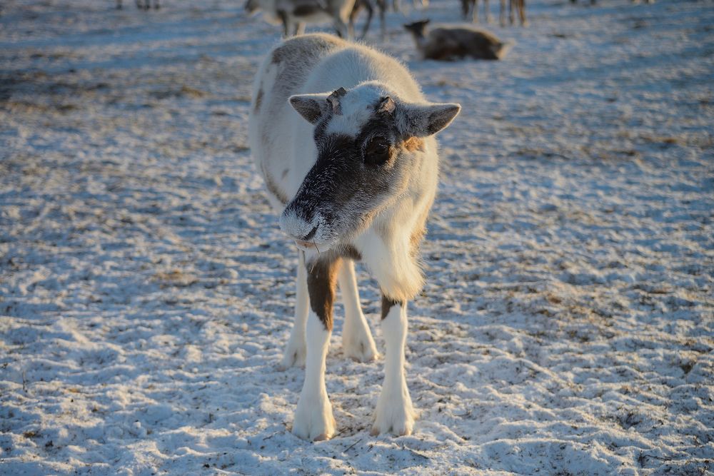 Холодно однако.
