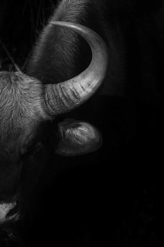 Caution: Curves Ahead