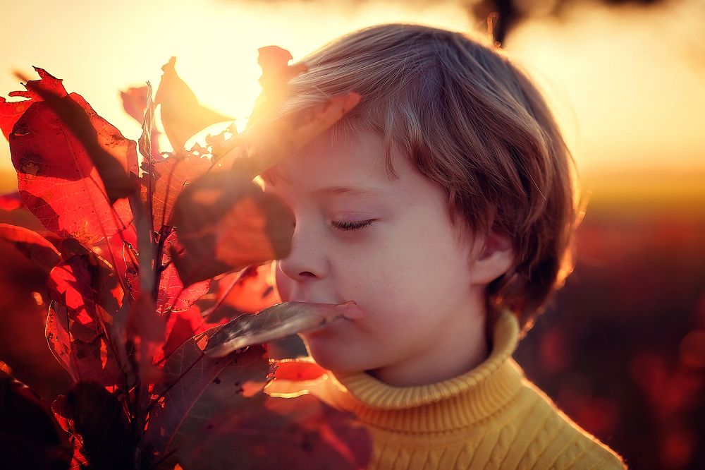 В осенних лучах.