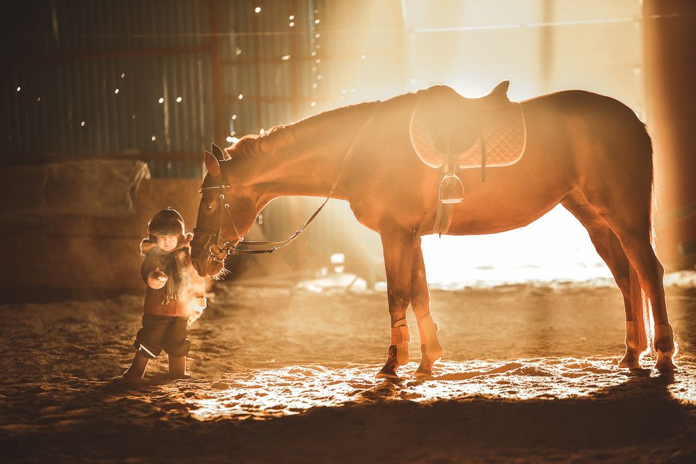 Photograph by татьяна занкевич