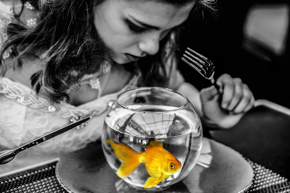 *разный мир