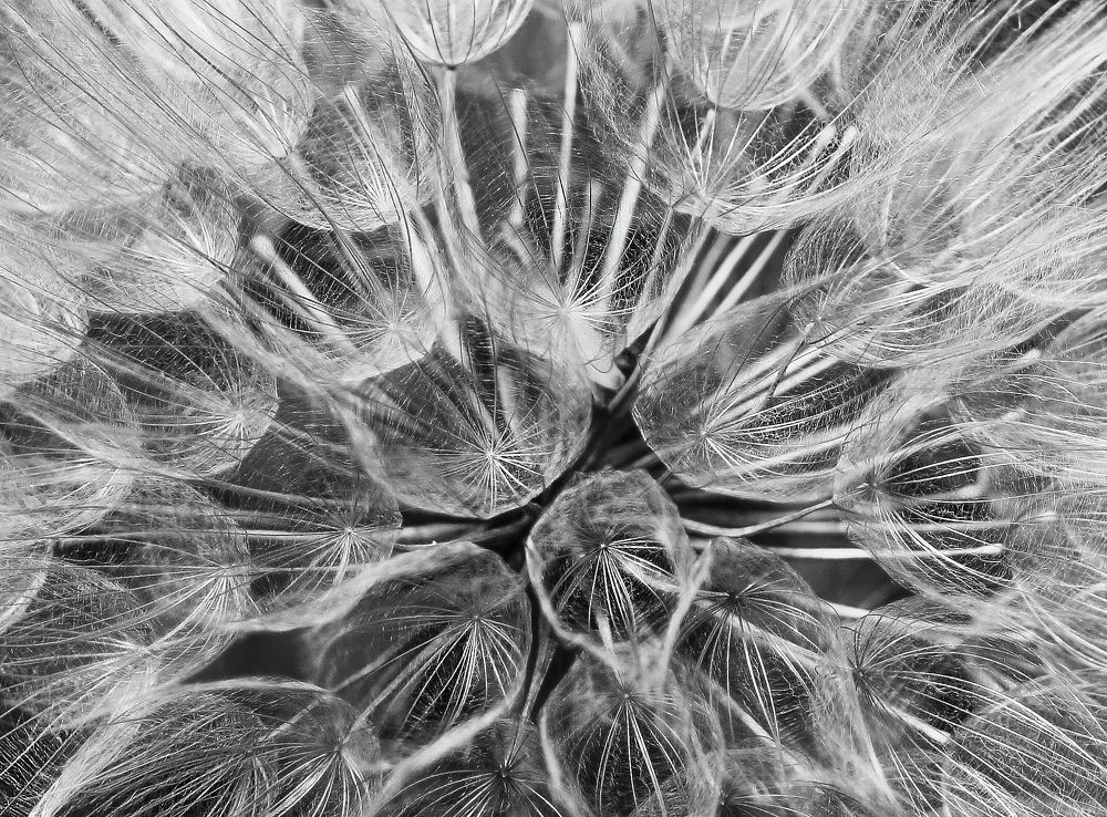 Photograph by Olesya Mikhailova