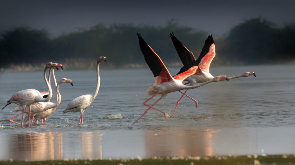 The Liberated and The Bonded Souls.....