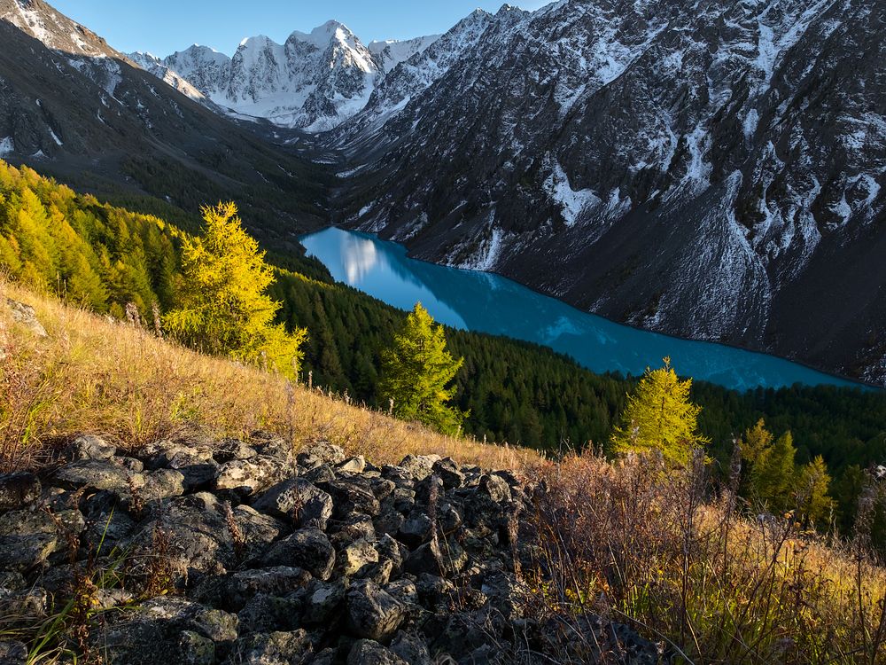 Сердца трёх