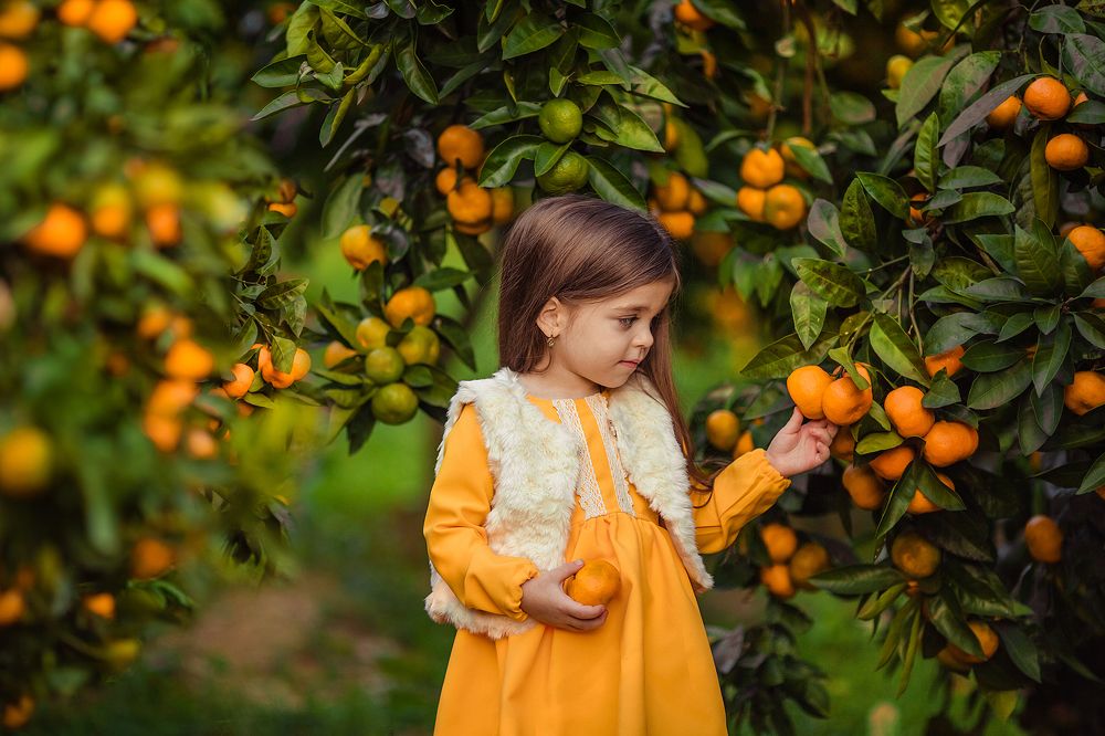 Девочка в мандариновом саду