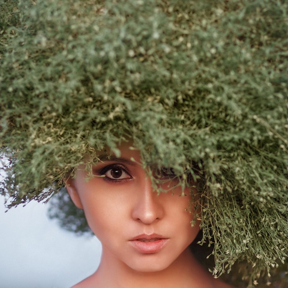 Перекати Поле