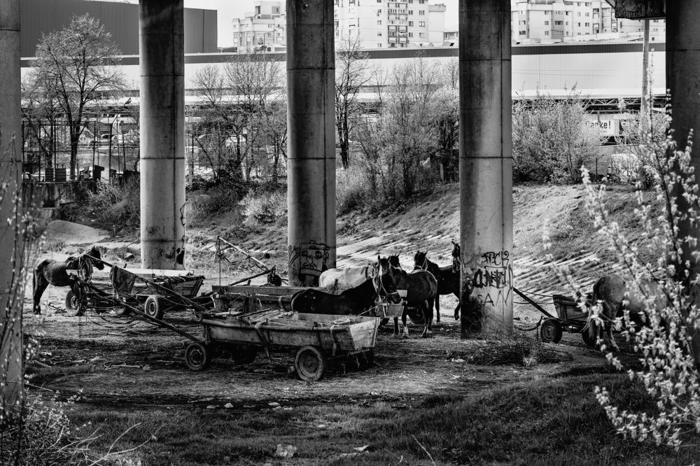 Photograph by Catalin Manolescu