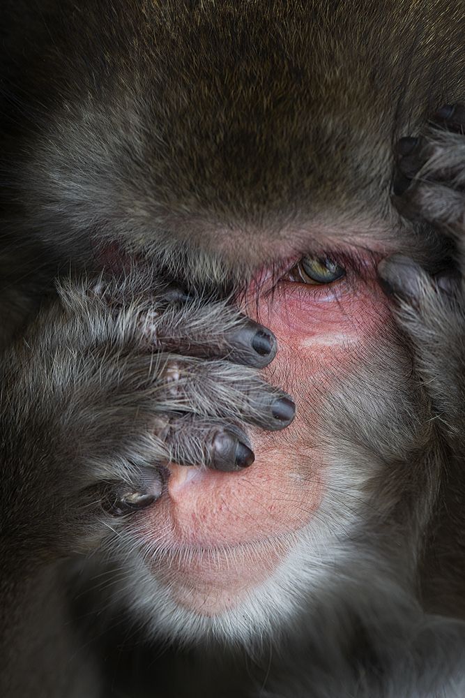 Detail of beautiful limbs