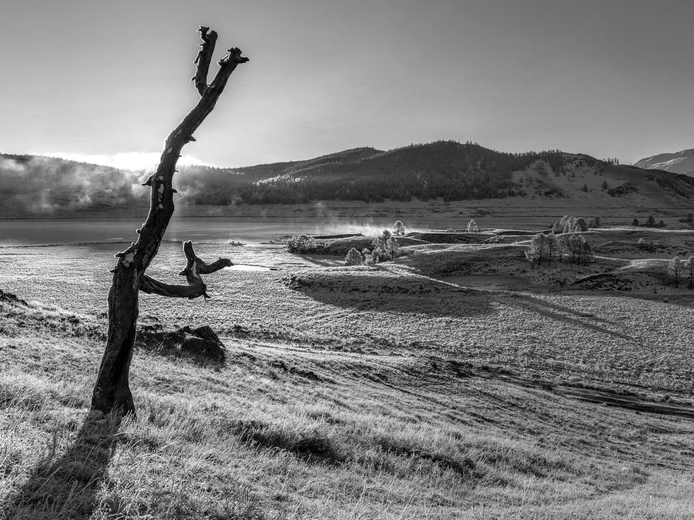 Морозное утро