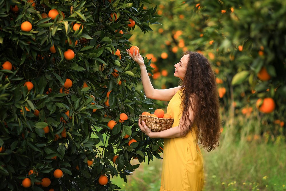 Photograph by Анастасия