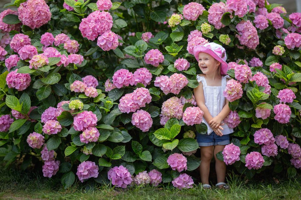 Маскировка