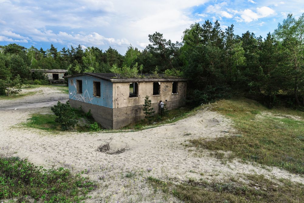 in the mood for love