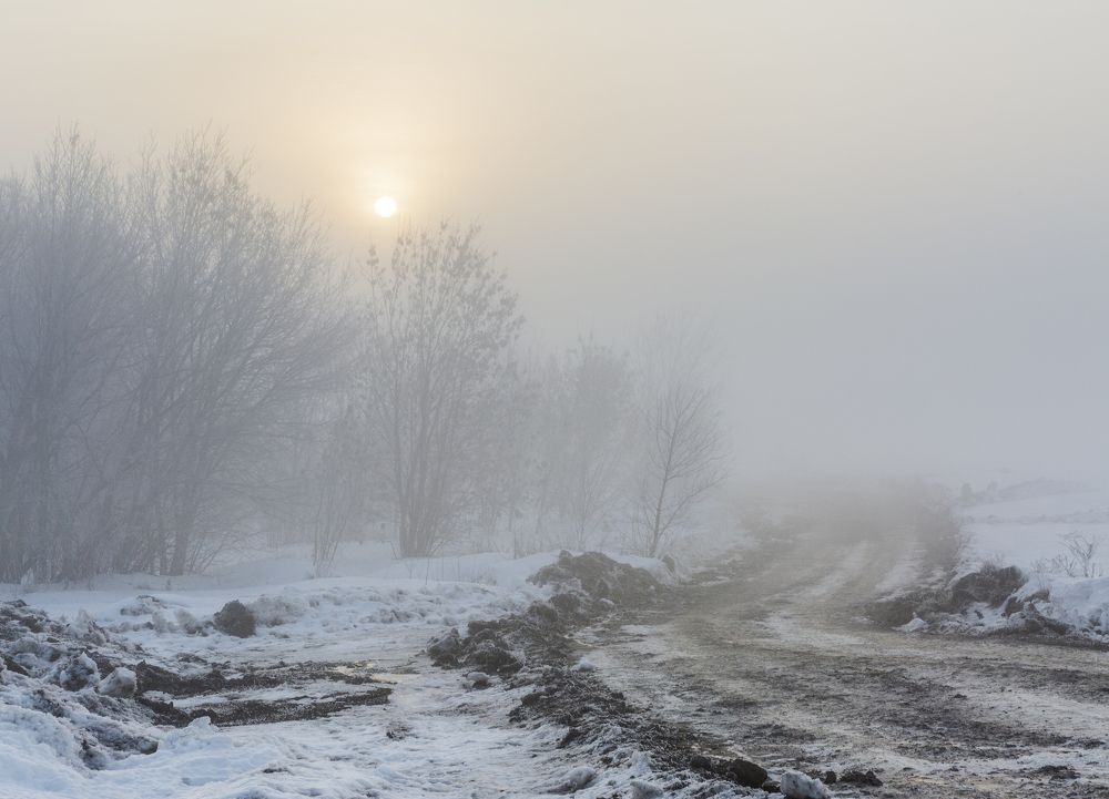 Туманное утро в феврале