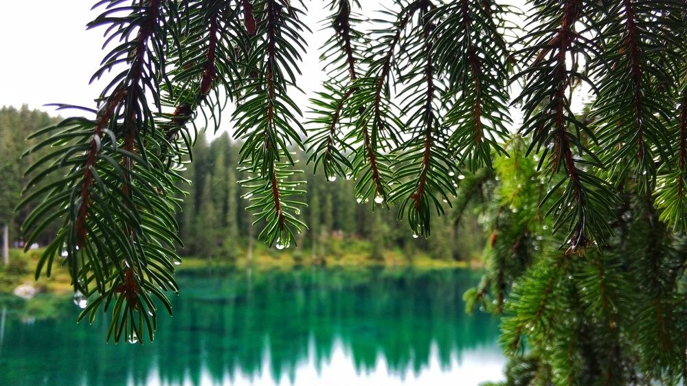 Photograph by Наталья Сонникова