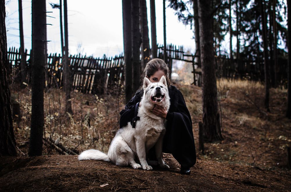 Ведьма и волк