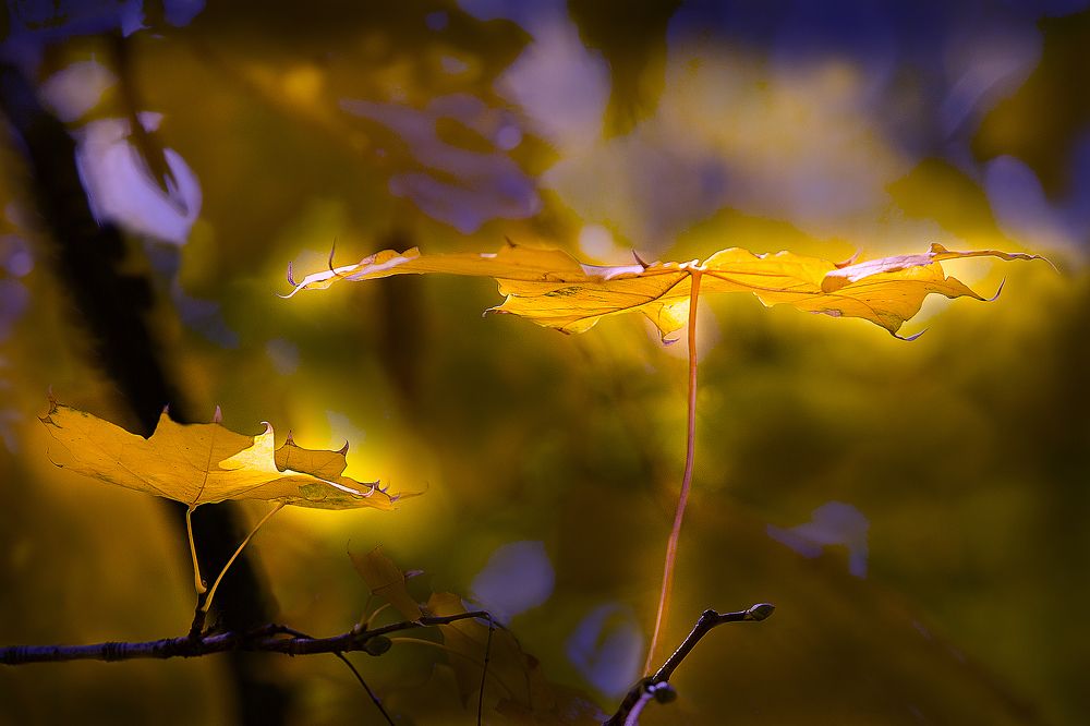 Осень колдует