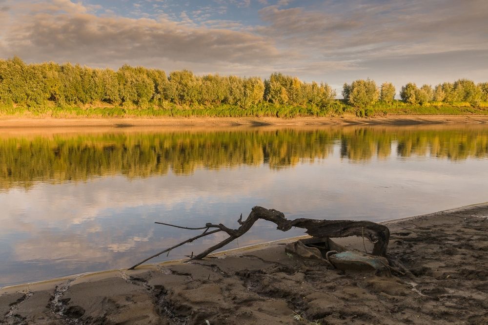 Золотая осень