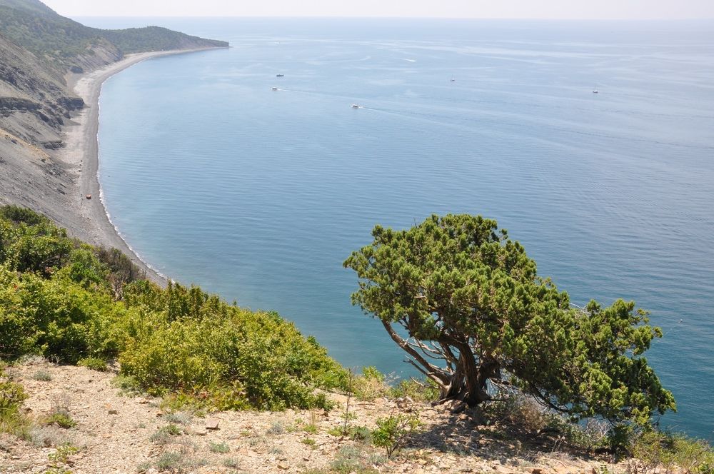 Можжевеловый утёс