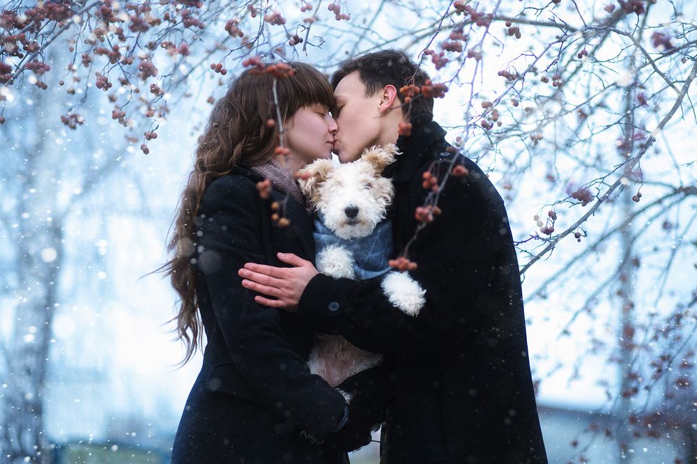 Фотография автора Алина Иванова