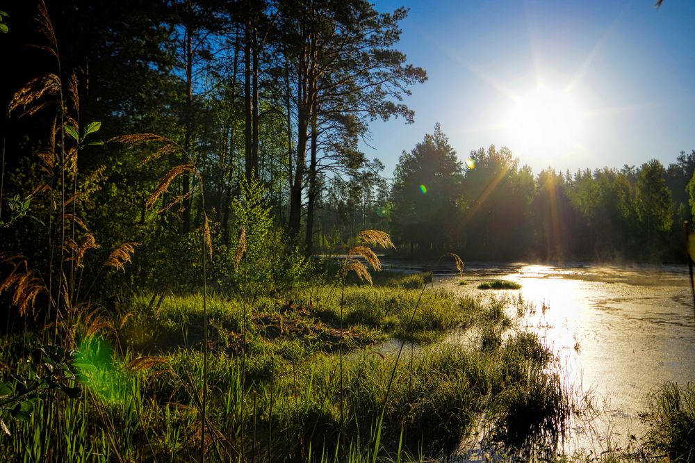 Рассвет на берегу