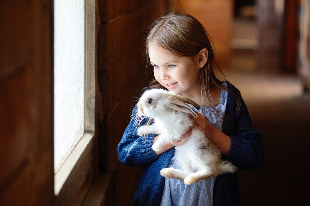 Осень на ферме