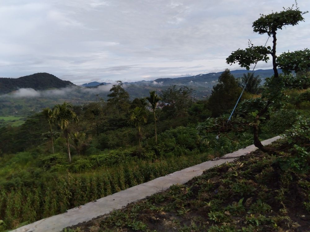 Sindeka Morning