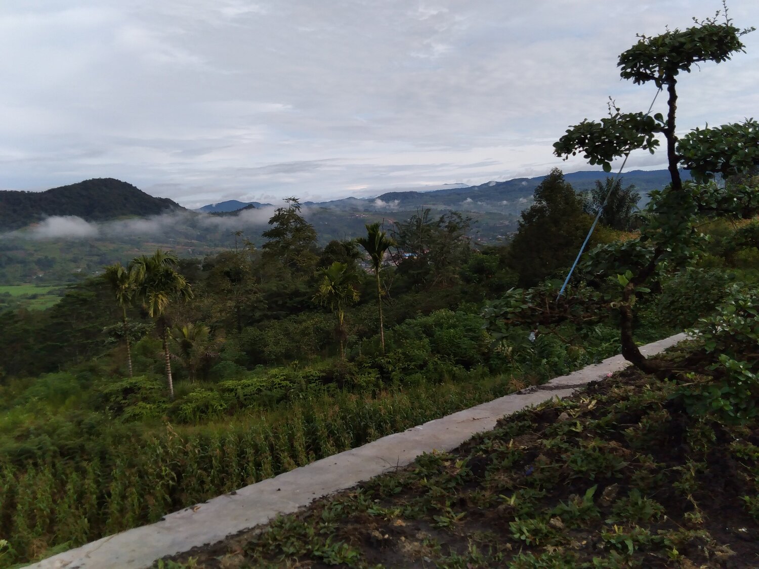 Sindeka Morning