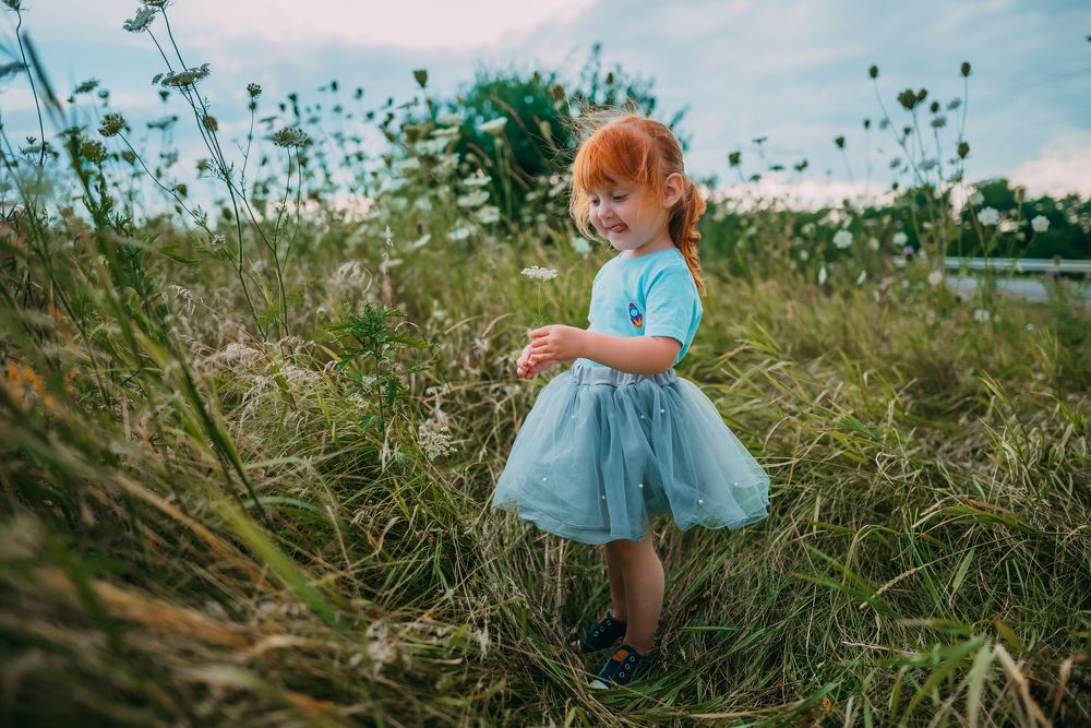 Фотография автора Дарья Шевченко