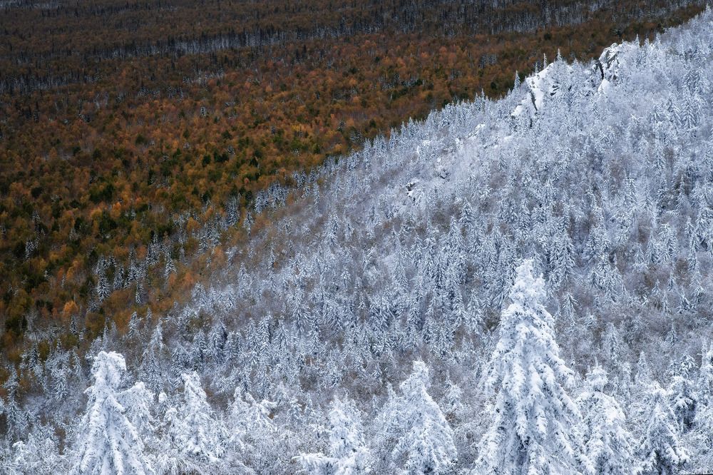 Война осени и зимы