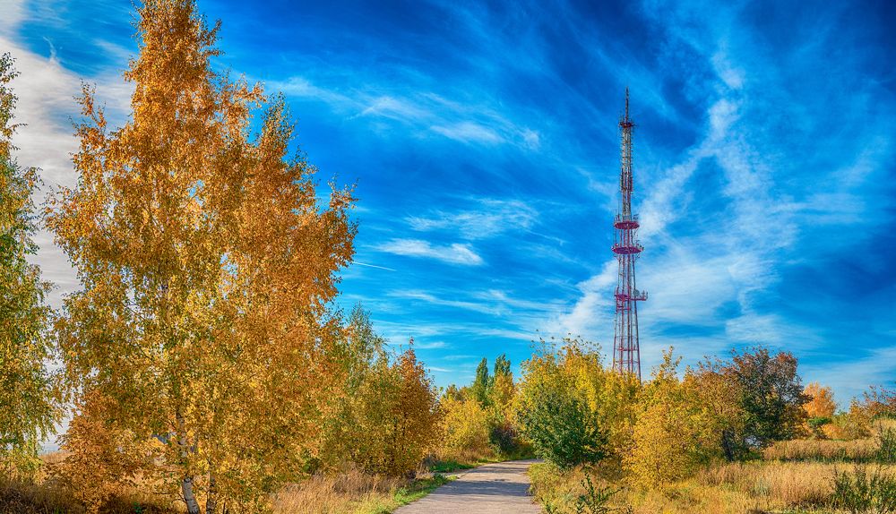 Осенний этюд