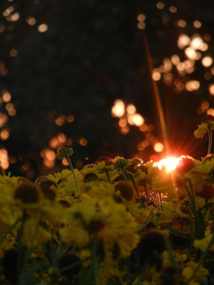 Photograph by Настя Трубкина