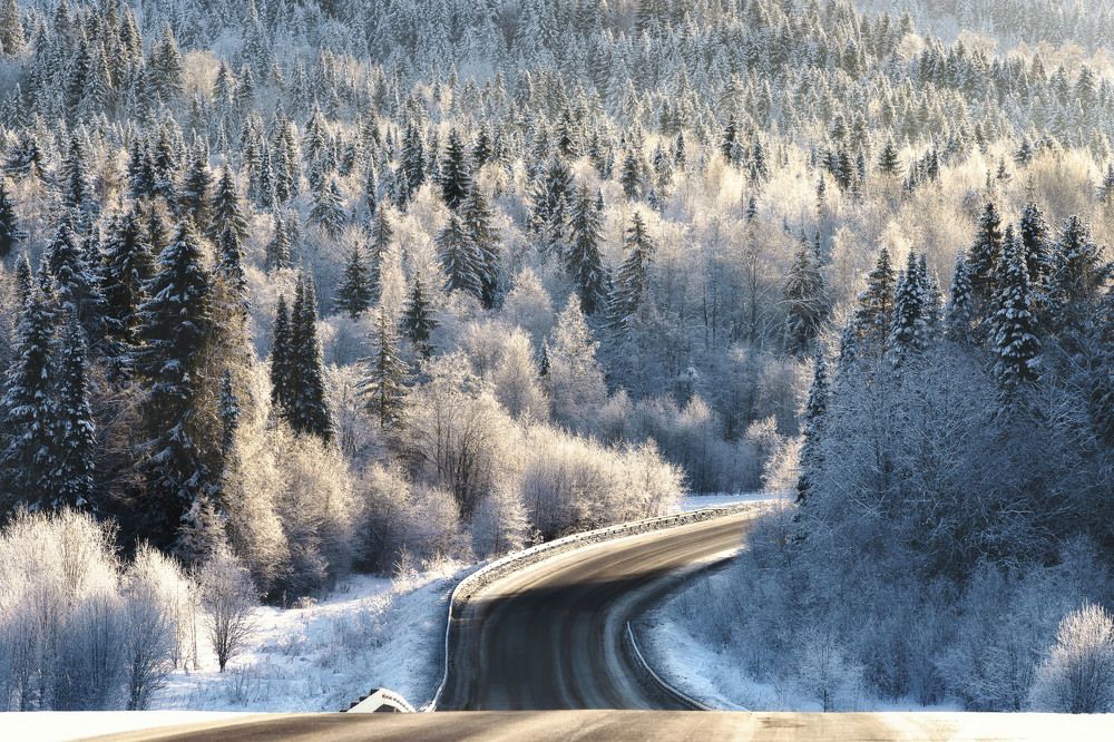 Дорога в зиму