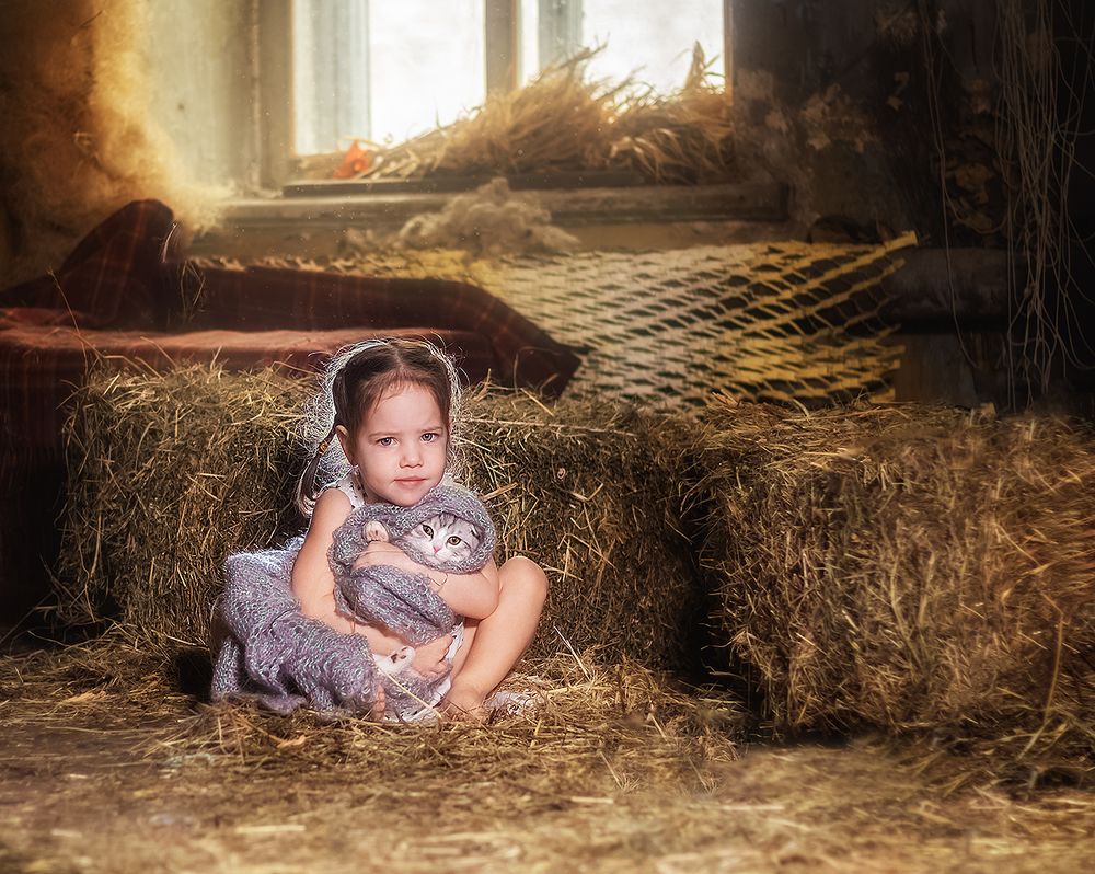 Мечта о котенке