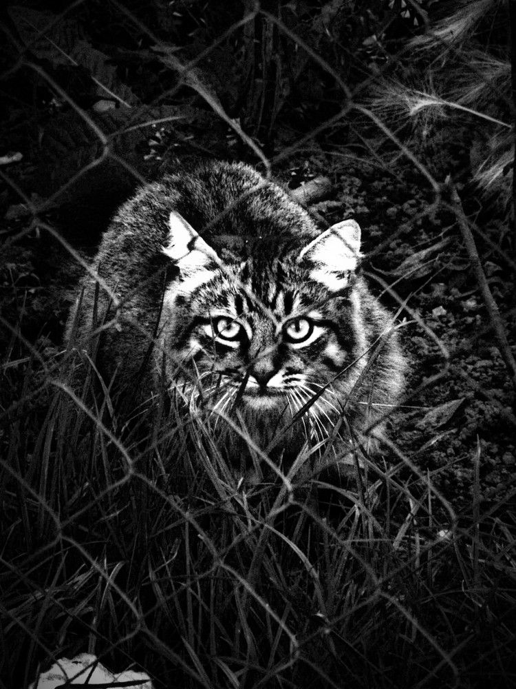 Photograph by Настя Трубкина