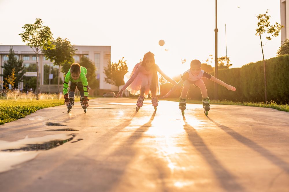 Полёт маленьких пчёл