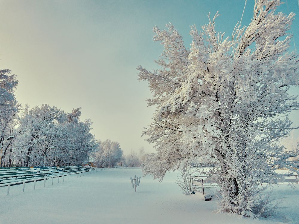 Морозный день