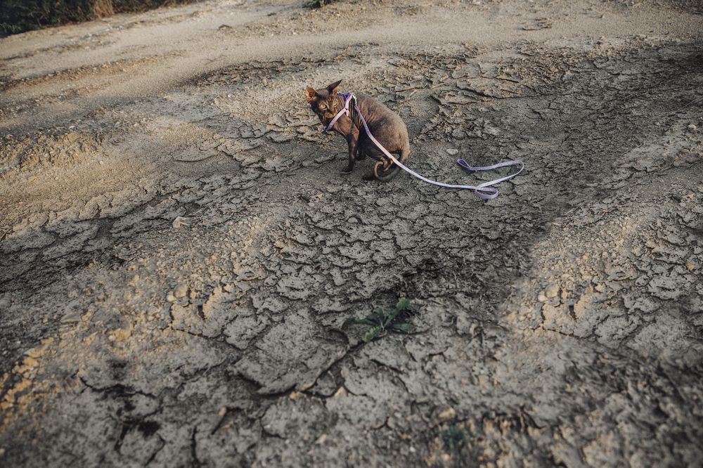 Фотография автора Creative Photo