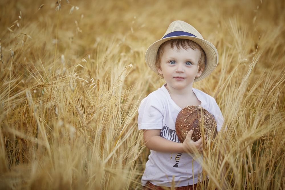 мальчик в пшенице
