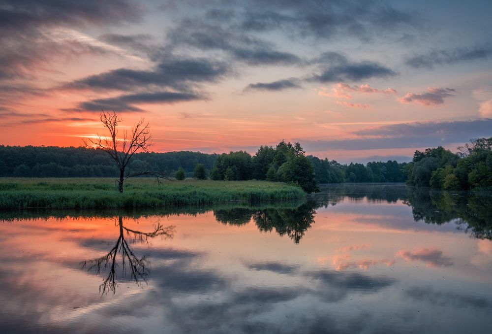 Отражение реальности