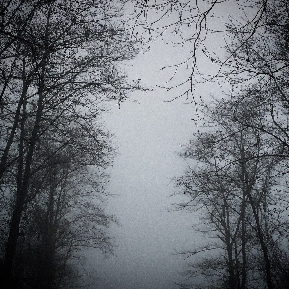 Photograph by Mahdieh Katouzian -