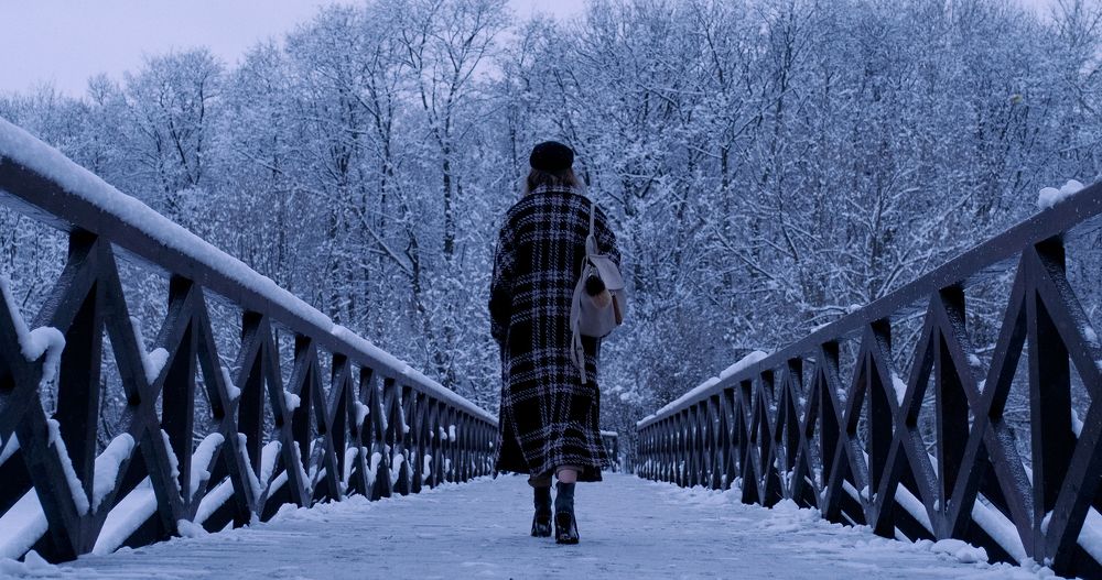 Фотография автора Алексей Зуев