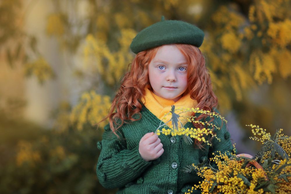 цветение мимозы