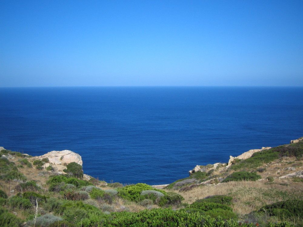 Чаша вечности