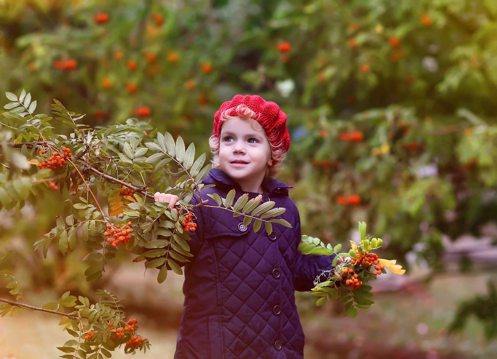 Photograph by Ольга Веселова