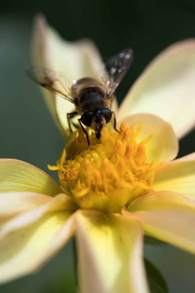 Лето....и ничего лишнего...