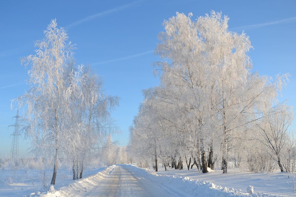 Февральский день.
