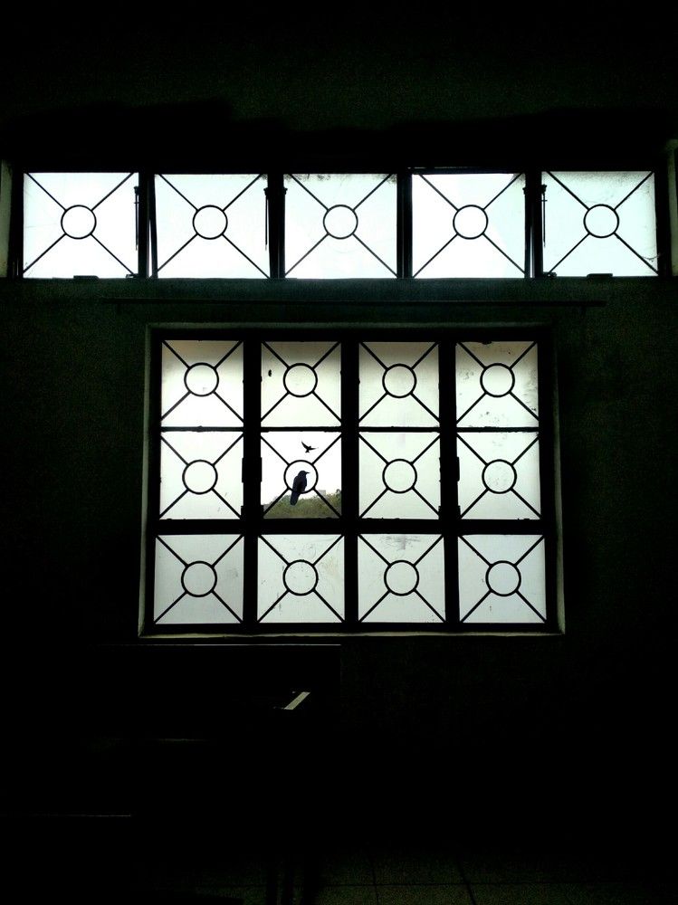 Window symmetry
