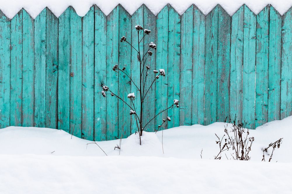 Photograph by Алексей Кашин