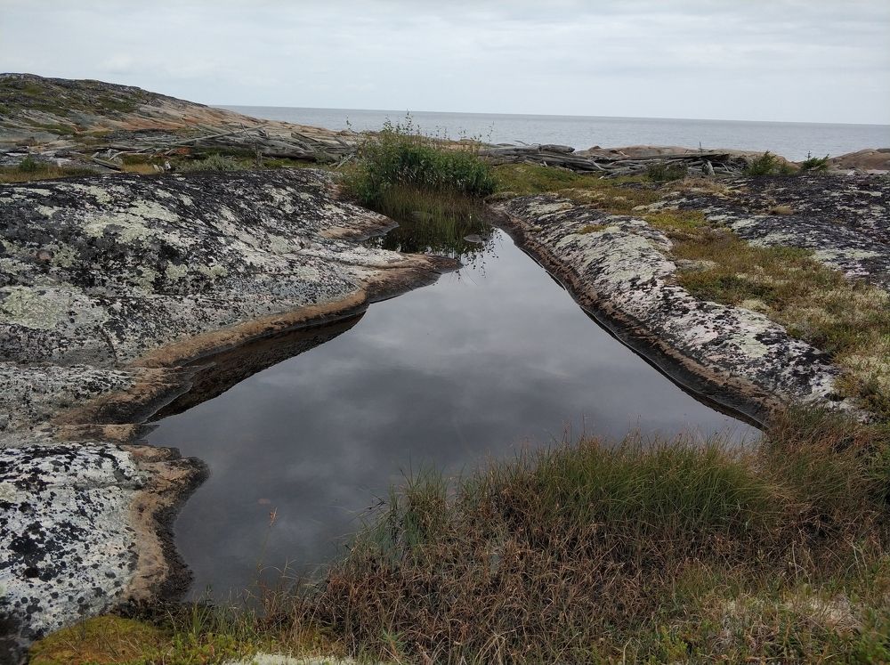 Photograph by Анастасия