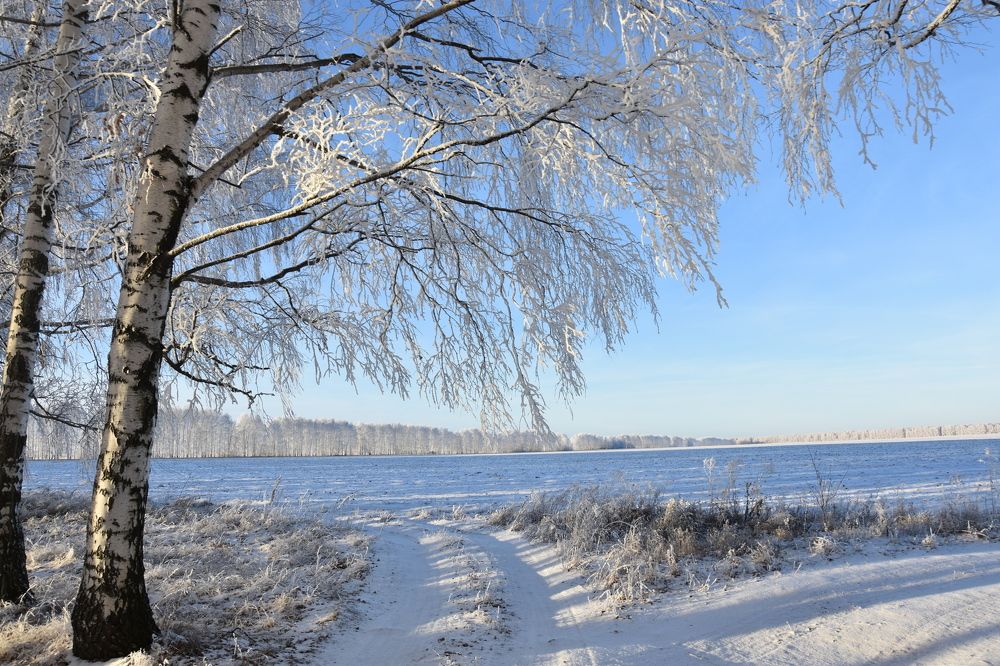 Photograph by Валерий Гудков